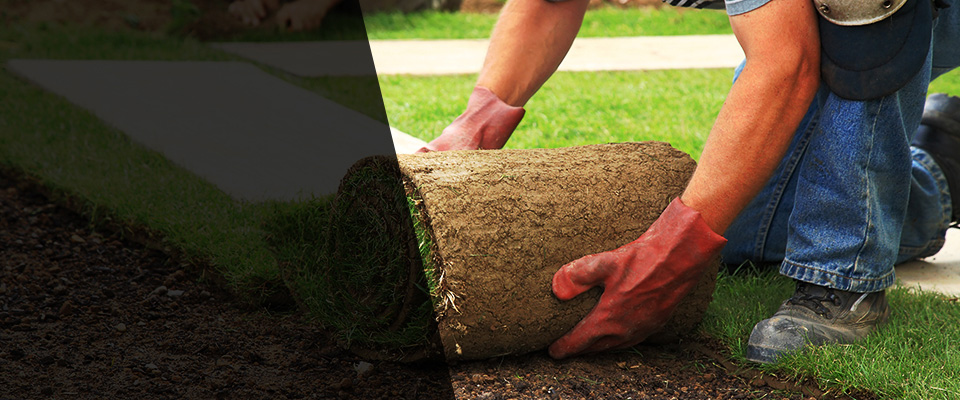 Saegertown Landscapers